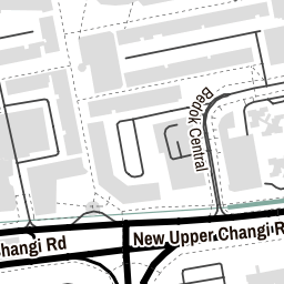 Singapore Singapore NEW UPPER CHANGI ROAD 462208 geoparsing